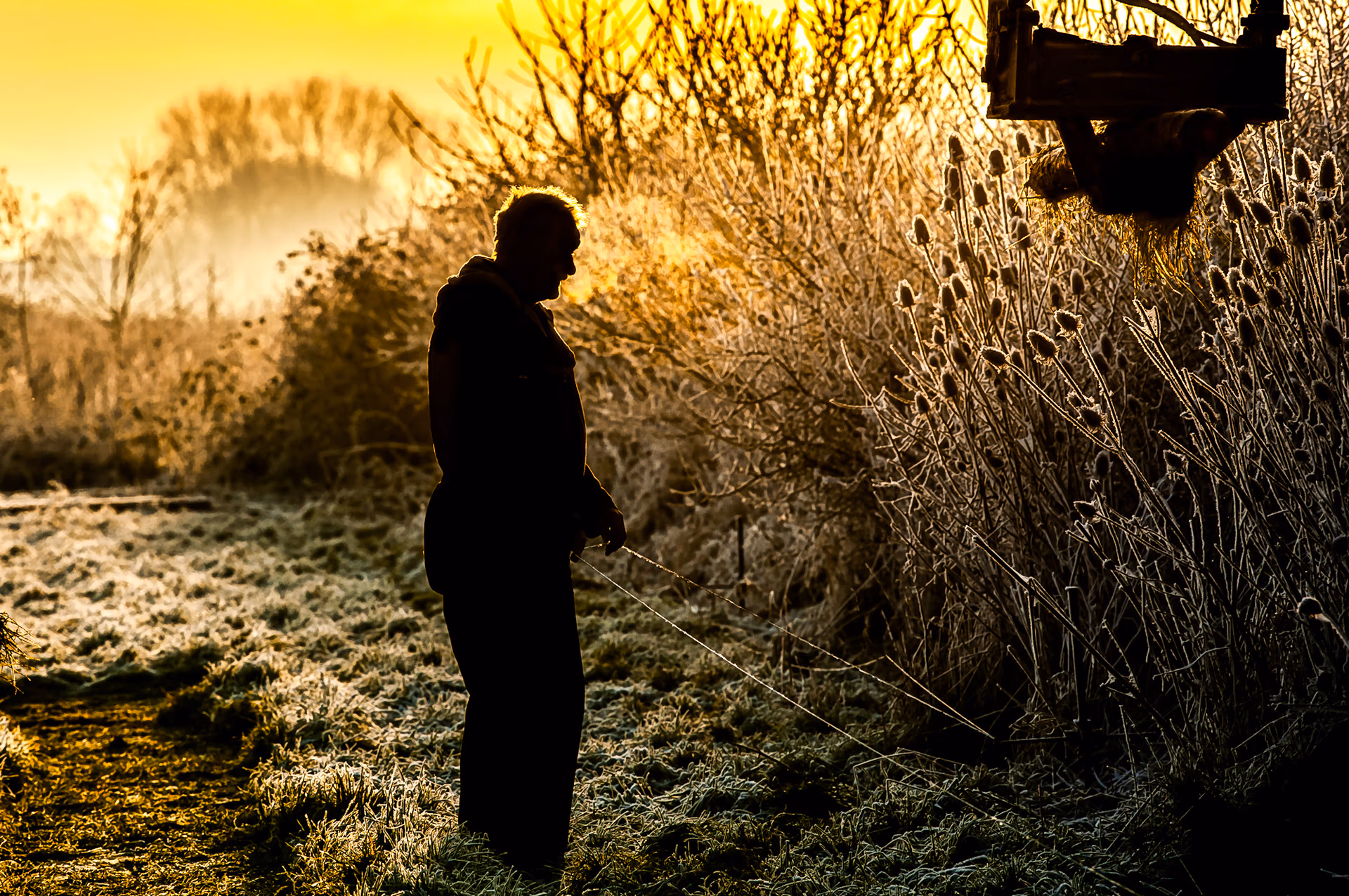 bedrijfsfotografie rotterdam, bedrijfsfotografie, grondverzet, bouwend nederland