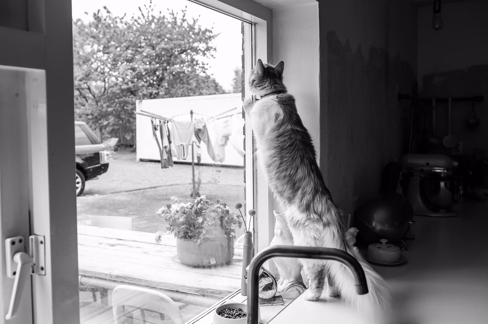 familie fotoshoot in Weerdinge, familie fotoshoot emmen, familiefotografie emmen, gezinsfotografie emmen