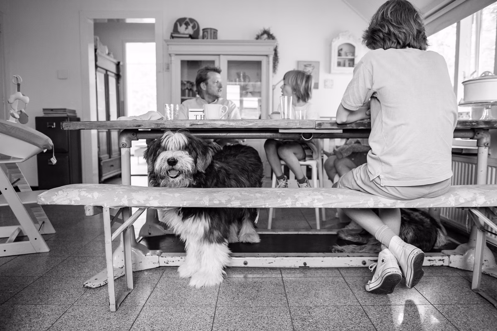 familie fotoshoot in Weerdinge, familie fotoshoot emmen, familiefotografie emmen, gezinsfotografie emmen