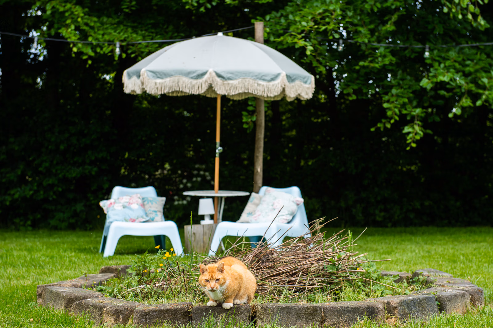 familie fotoshoot in Weerdinge, familie fotoshoot emmen, familiefotografie emmen, gezinsfotografie emmen