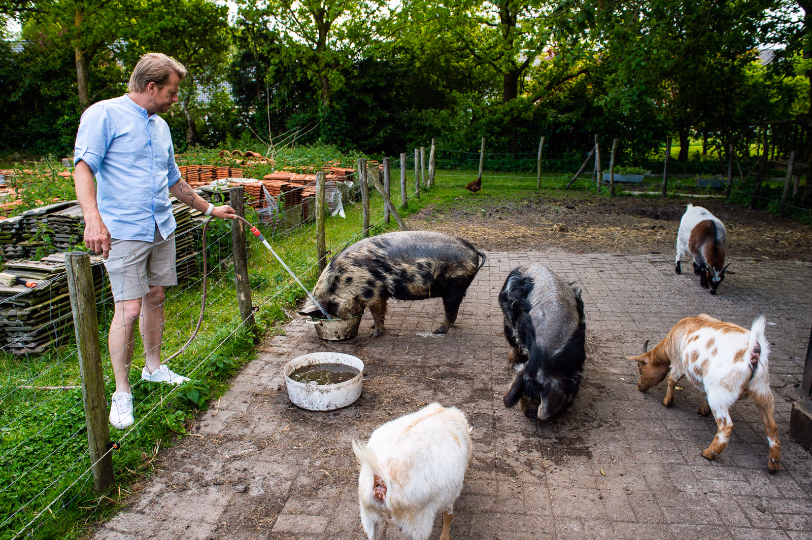 familie fotoshoot in Weerdinge, familie fotoshoot emmen, familiefotografie emmen, gezinsfotografie emmen